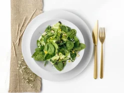 Seltmann Geschirr|Suppenteller Liberty Ø 21,2 cm