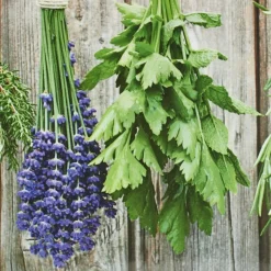 Tablett Kräuter 50x35 cm Tabletts|Tabletts