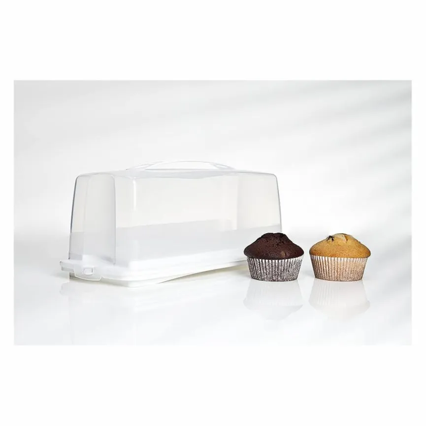 Clearance Tortenbehälter Fresh 36 x 16 cm Backzubehör