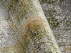 Outlet Vintage Teppich Sinfonia 160 x 230 cm Vintage Teppiche