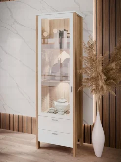 FORTE Vitrinen|Vitrine Saitama