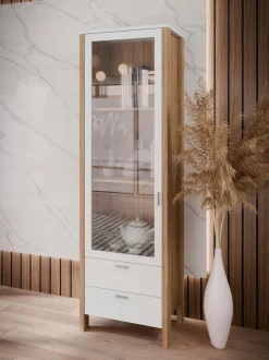 FORTE Vitrinen|Vitrine Saitama