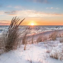 EUROART Wandbild 55 x 55 cm Beautiful Sunset VIII