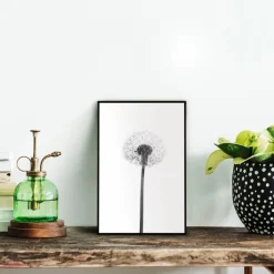 Reinders Bilder Mit Rahmen|Wandbild 20 x 30 cm Dandelion