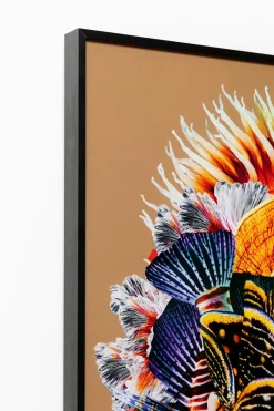 KARE DESIGN Bilder Mit Rahmen|Bilder Nach Themen|Wandbild 120 x 120 cm Flower Hair 55422