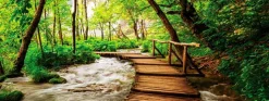 Hot Wandbild 30 x 80 cm Footbridge in the forest Bilder Nach Themen