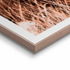 Reinders Wandbild 50 x 50 cm Highlander