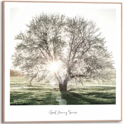 Reinders Bilder Mit Rahmen|Bilder Nach Themen|Wandbild 50 x 50 cm Morgensonne