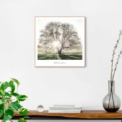 Reinders Bilder Mit Rahmen|Bilder Nach Themen|Wandbild 50 x 50 cm Morgensonne