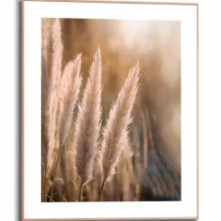 Reinders Bilder Mit Rahmen|Bilder Nach Themen|Wandbild 40 x 50 cm Pampas