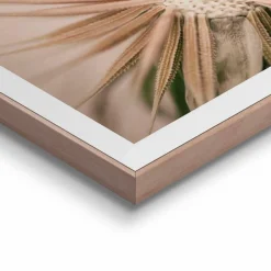 Reinders Bilder Mit Rahmen|Bilder Nach Themen|Wandbild 40 x 50 cm Pusteblume