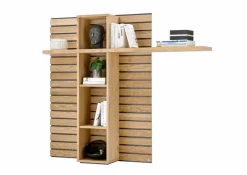 New Wandpaneel Jackson Regale