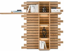 Wandpaneel Jackson Regale