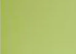 Metallbude Regale|Wandregal Lenn 60 x 17