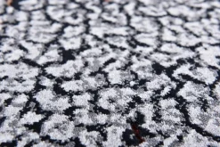 Clearance Webteppich Orelia Vintage Teppiche