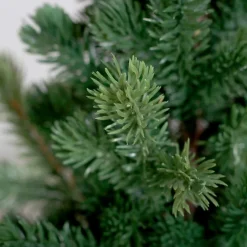 Weihnachtsbaum Tanne 48 cm