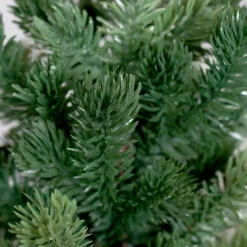 Weihnachtsbaum Tanne 48 cm