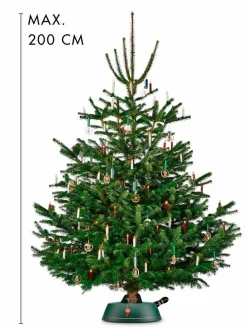 Weihnachtsbaumständer Basic