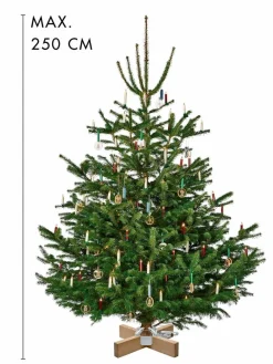 Weihnachtsbaumständer Kopenhagen