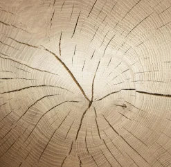 Hartmann Wohnwand Caya