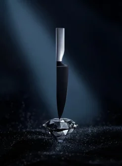 WMF Schneidwaren|Zubereitungsmesser Ultimate 12 cm